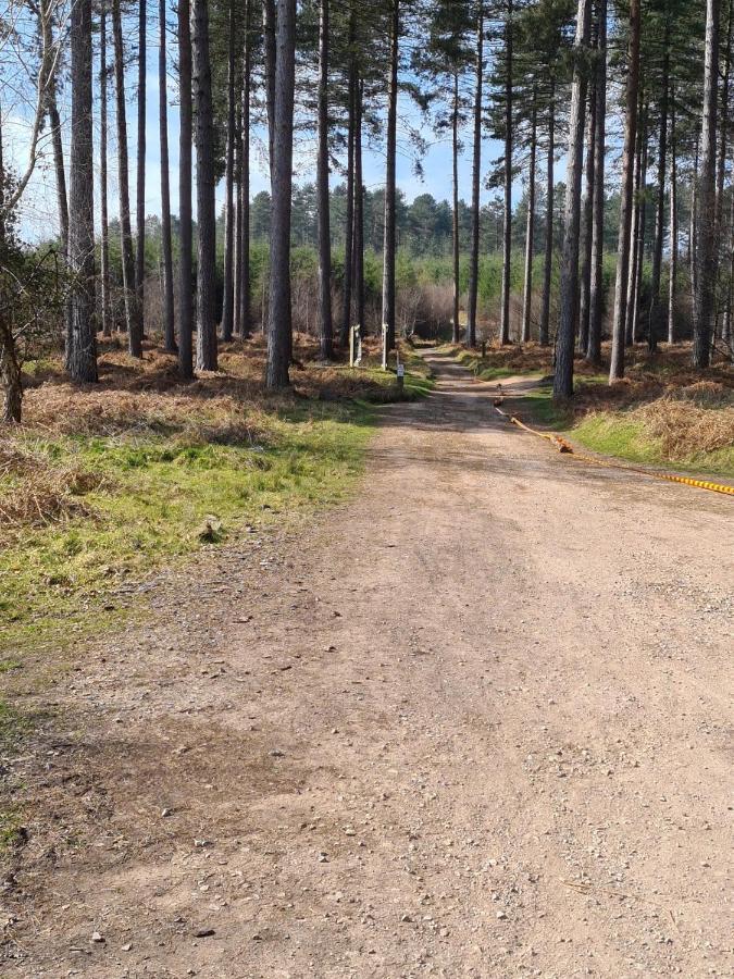 The Shambles By Spires Accommodation A Boho Styled Place To Stay Just 3 Miles From Birches Valley Visitors Centre Cannock Chase Rugeley Luaran gambar